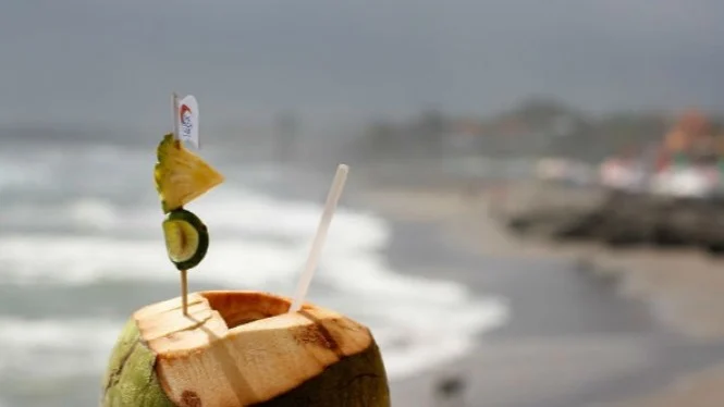 Minum Air Kelapa Badan Menjadi Lemas? Ternyata Ini Efeknya