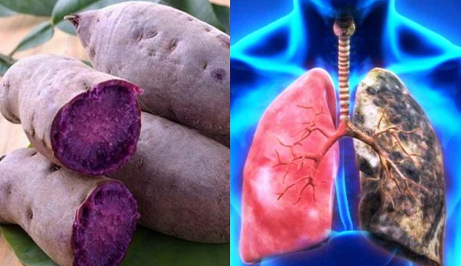 Lima Manfaat Tidak Terduga dari Ubi Jalar