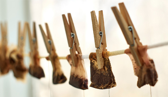 7 Manfaat Kantong Teh Bekas yang Serbaguna