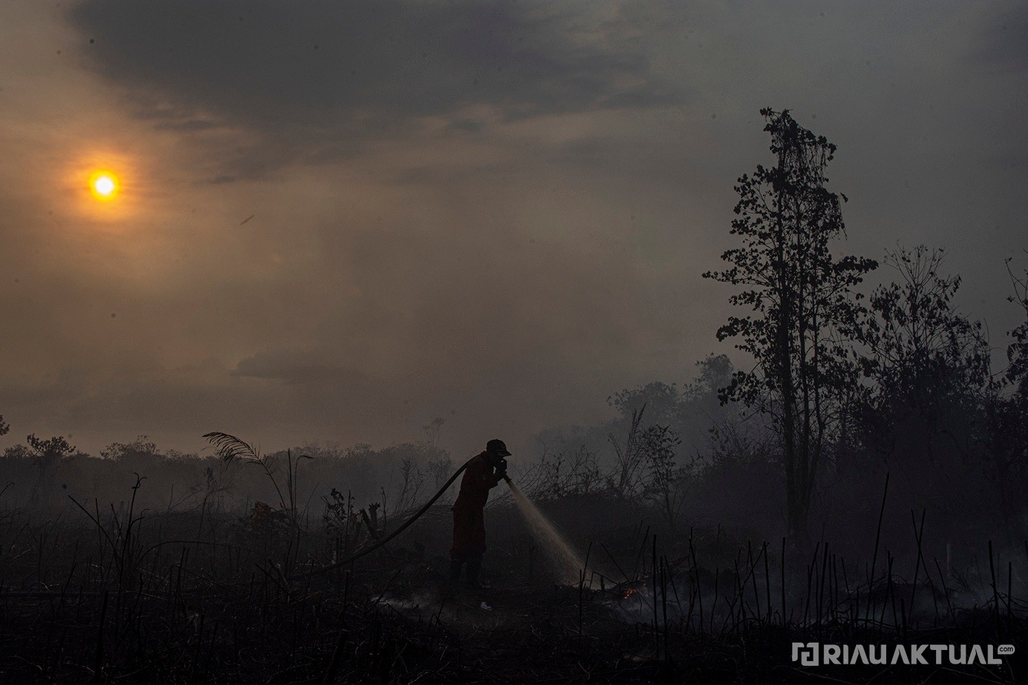 164 Titik Panas Terpantau di Riau, Pelalawan Terbanyak