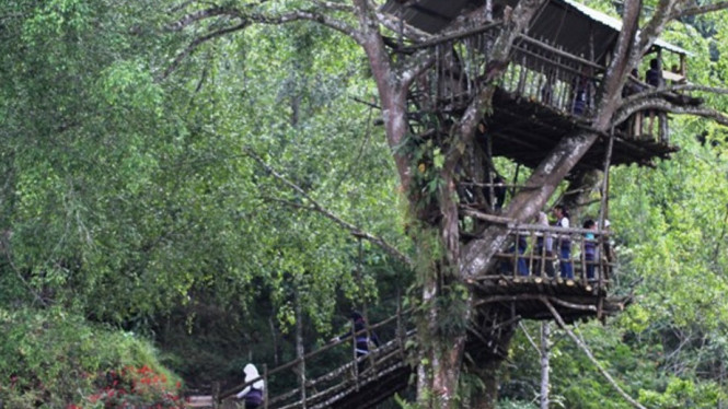 Pesona Alam Purbalingga yang Belum Banyak Diketahui