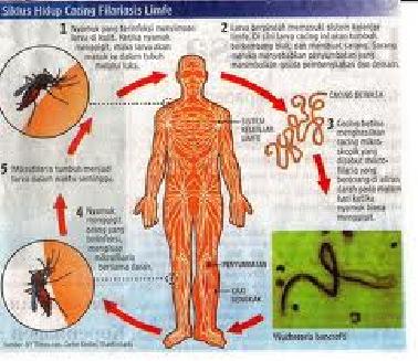 Puskesmas Kecamatan Lirik Berikan pengobatan filariasis Geratis 