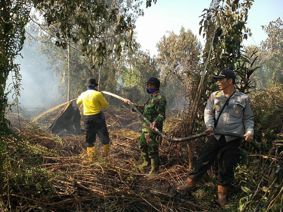Polda Riau Tangani 13 Kasus Karhutla, 233 Lahan Terbakar Dipasang Garis Polisi