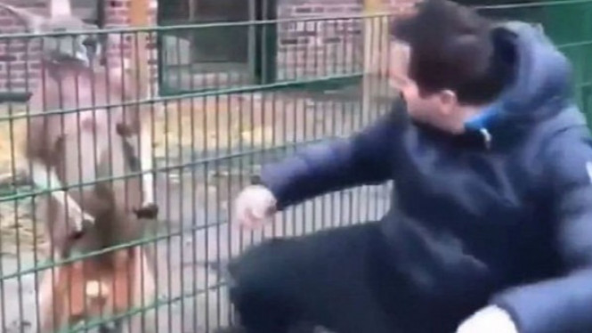 Pukul Kangguru, Pria yang Mengaku Imam Mahdi Dihujat Netizen