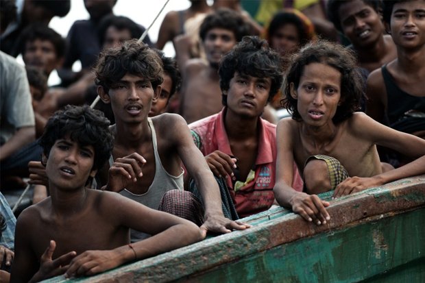 Nestapa Warga Rohingya Sampai di Titik Mencemaskan
