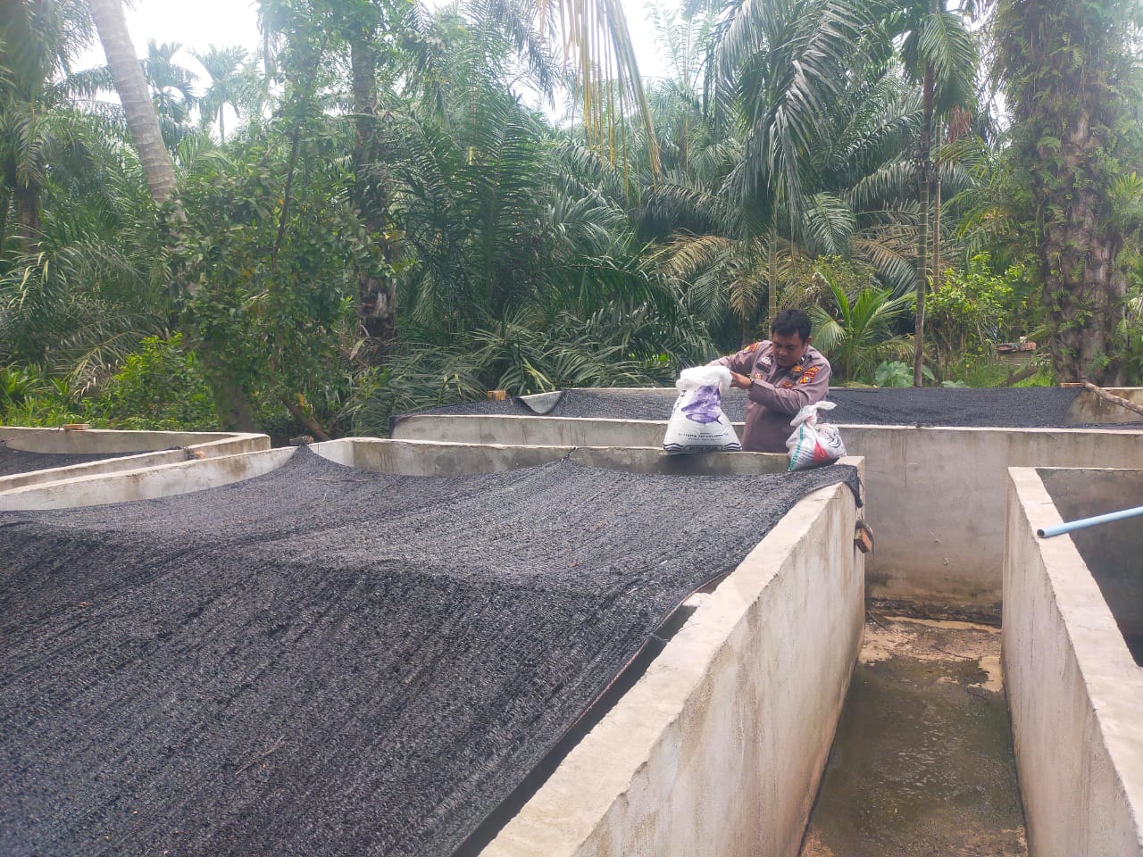 Polsek Bangko Pusako Dukung Program Asta Cita Lewat Pembinaan Ketahanan Pangan di Teluk Bano I