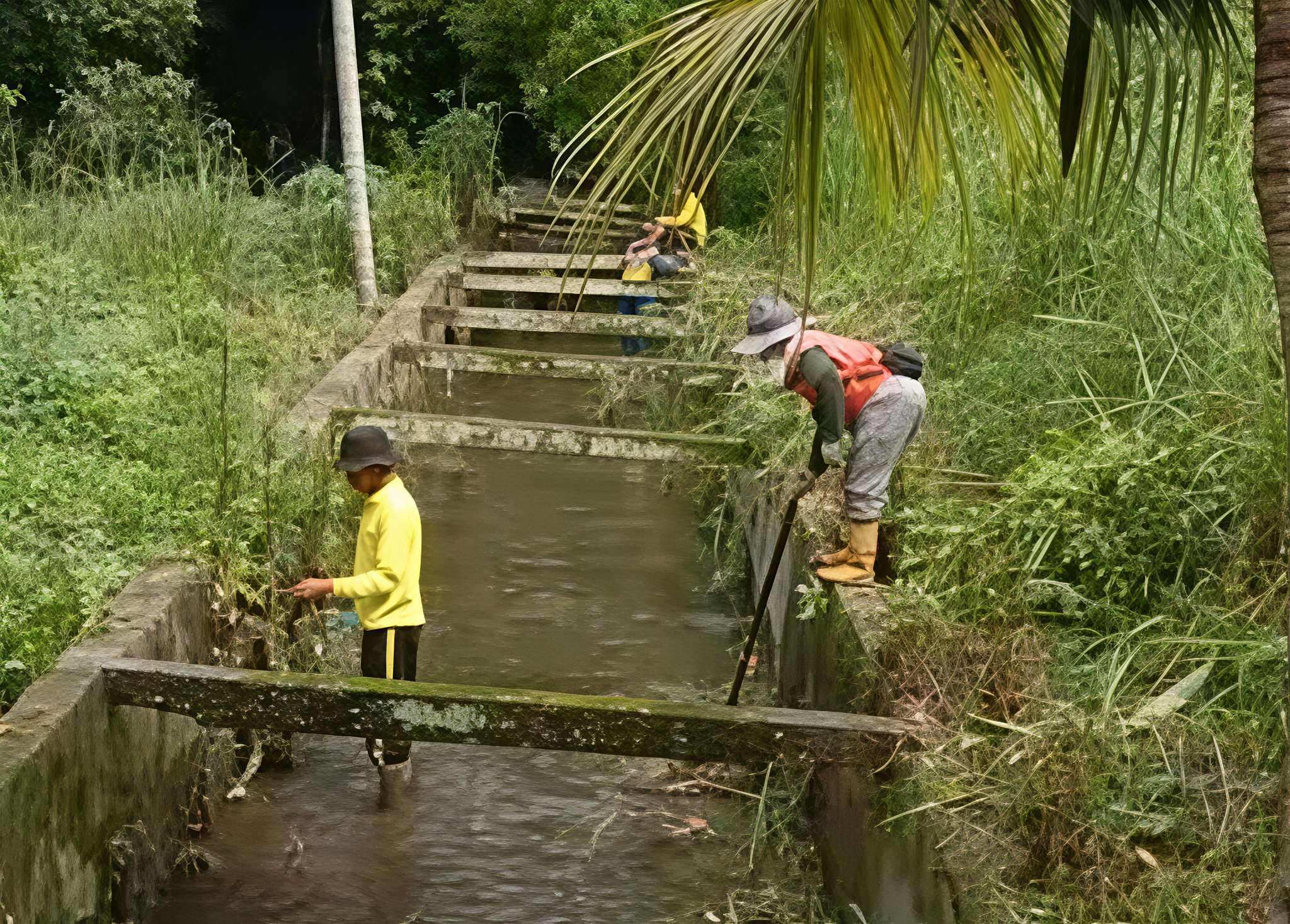 Penanganan Banjir Dipastikan Berlanjut, PUPR Pekanbaru Optimalkan Normalisasi Saluran Air