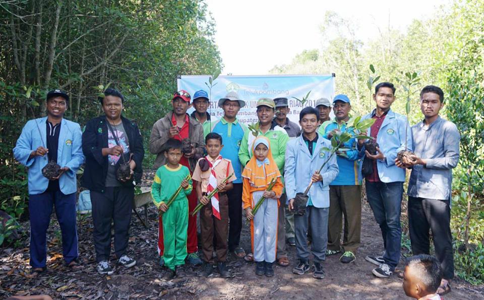 Di Desa Teluk Pambang, Mahasiswa Kukerta UR Tanam 1000 Pohon Mangrove