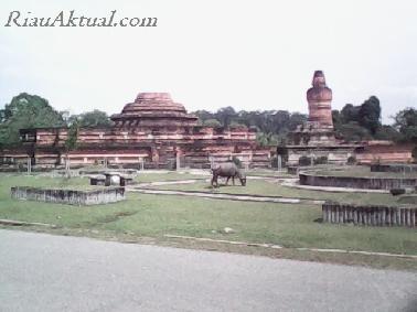 Candi Muara Takus, 'Kerbau dan Rumput Pun Tak Terpisahkan'