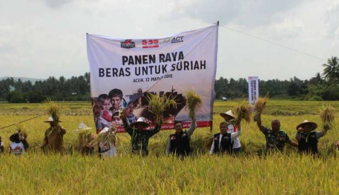 Petani Aceh Siapkan 1.000 Ton Beras untuk Pengungsi Suriah