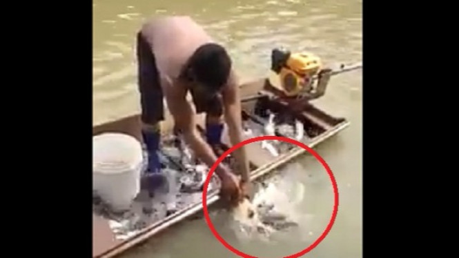 Mancing Pakai Kepala Hewan, Perahu Nelayan Ini Penuh Ikan