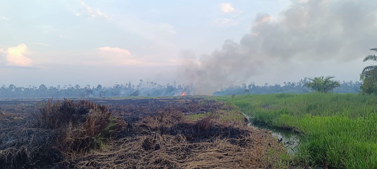 PT Teso Indah Kerahkan Excavator untuk Padamkan Kebakaran di Areal Kebun