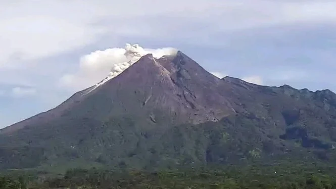 Pagi Ini Gunung Merapi Muntahkan Awan Panas, Ketinggian 500 Meter