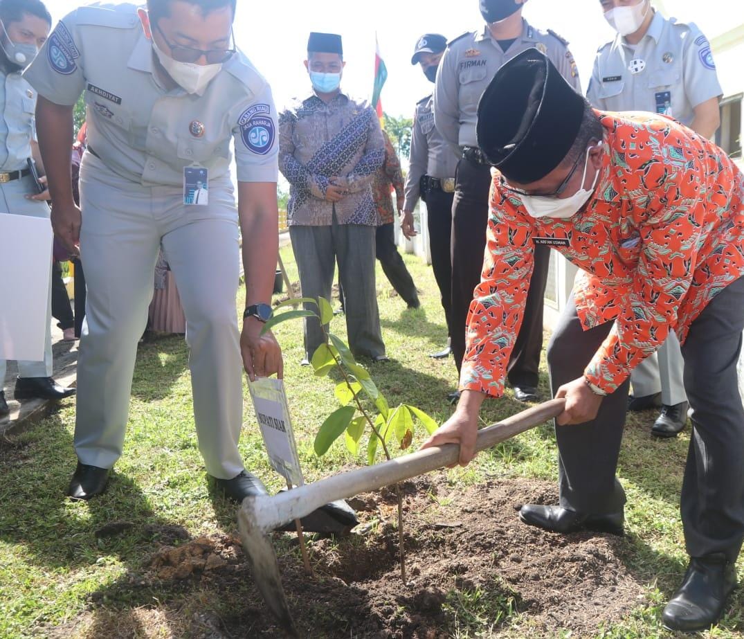 Pemkab Siak Terima 400 Bibit Pohon Metoa dan Sirsak Dari PT Jasa Raharja Cabang Riau