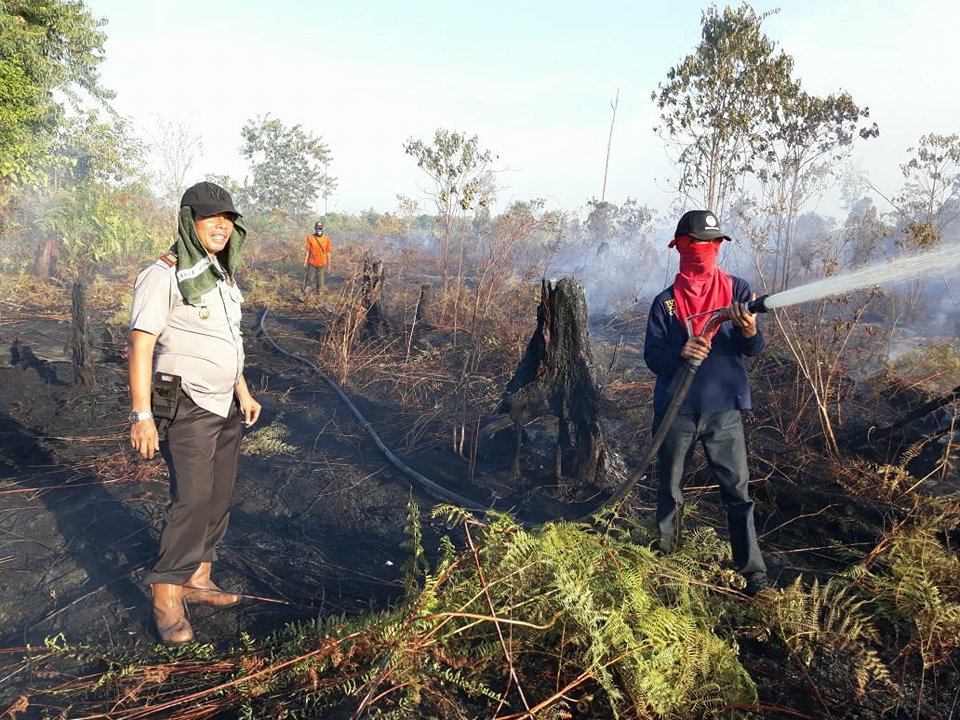 Lima Hektar Lahan Gambut di Siak Terbakar, Pemadaman Berlangsung Hingga Malam