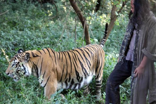 Kisah Sholeh hidup 10 tahun dengan harimau Benggala bernama Mulan
