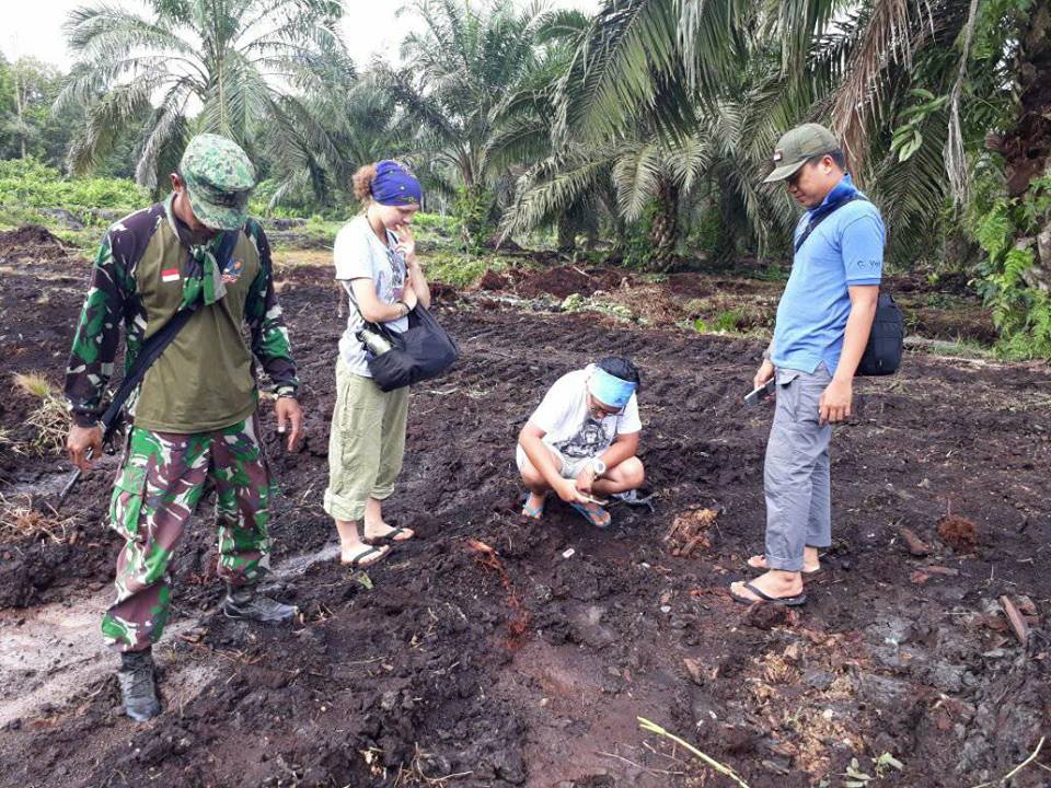 Pencarian Harimau Bonita Memasuki Hari ke 99