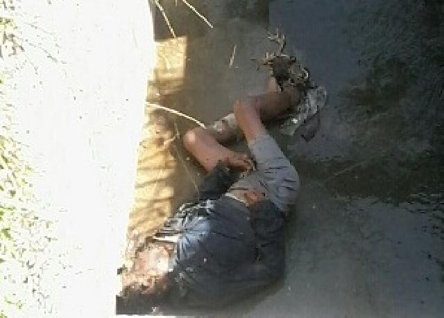 Bersama Mayat di Jalan SM Amin Pekanbaru, Ditemukan Bangkai Ayam