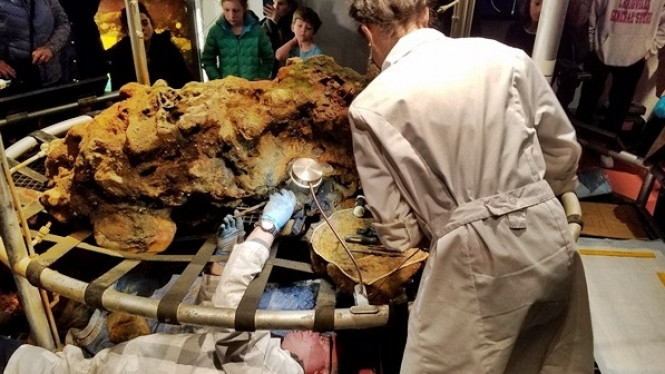 Kuburan Bajak Laut Berusia 300 Tahun Ditemukan