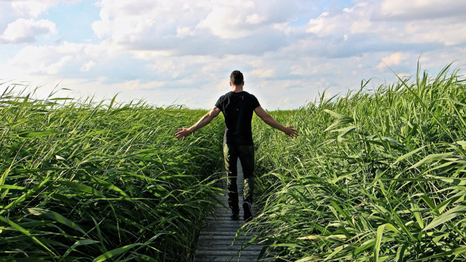 Inilah 5 Faktor Anda Wajib Berjalan Kaki Santai Setiap Hari