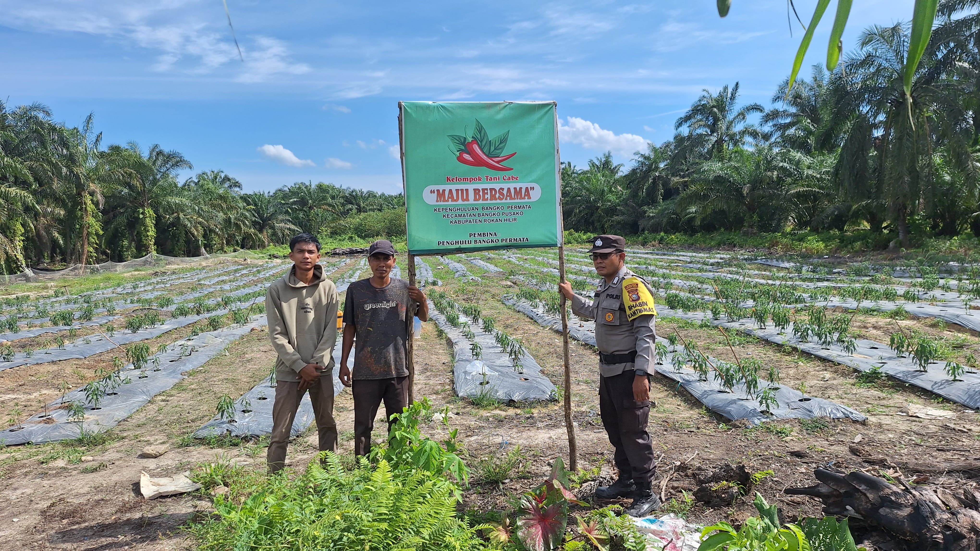 Asta Cita di Rokan Hilir, Polisi Turun ke Sawah Bina Petani
