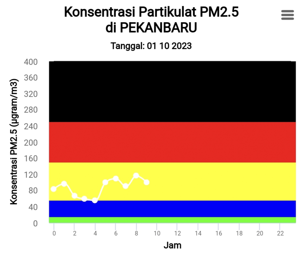Kualitas Udara Pekanbaru Tidak Sehat, BMKG Imbau Masyarakat Pakai Masker