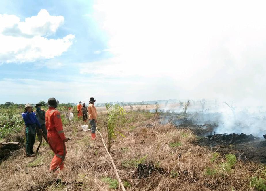 16 Hektare Lahan Terbakar, 5 Daerah di Riau Tetapkan Siaga Darurat Karhutla