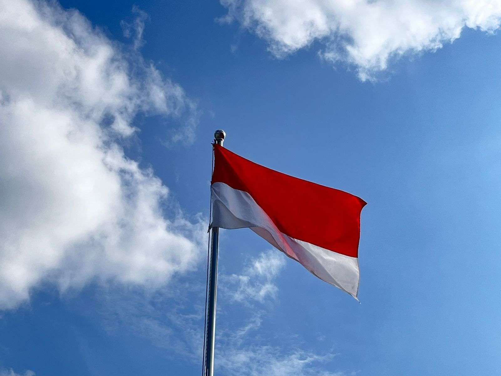 Pemprov Riau Imbau Masyarakat Pasang Bendera Satu Tiang Penuh Peringati Hari Pahlawan