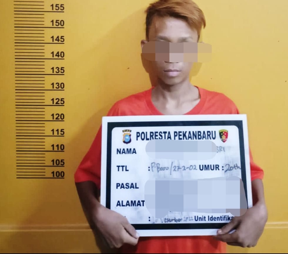 Tawarkan Wanita Panggilan ke Tamu, Polresta Pekanbaru Tangkap Mucikari di Hotel