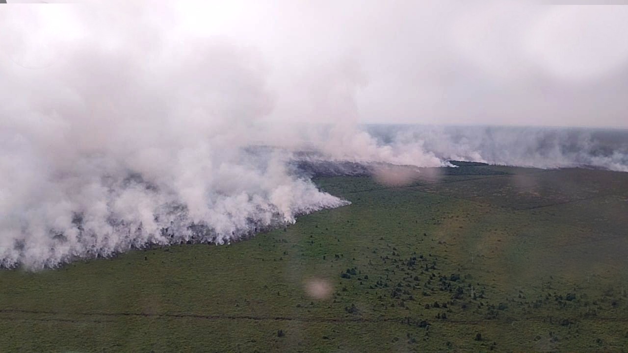 31 Titik Panas Terdeteksi di Riau, Didominasi Wilayah Indragiri Hilir dan Siak