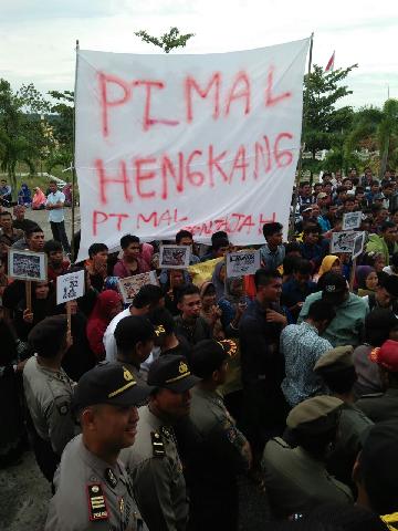 PT MAL Diduga Rusak Kebun Sawit dan Karet Milik Masyarakat