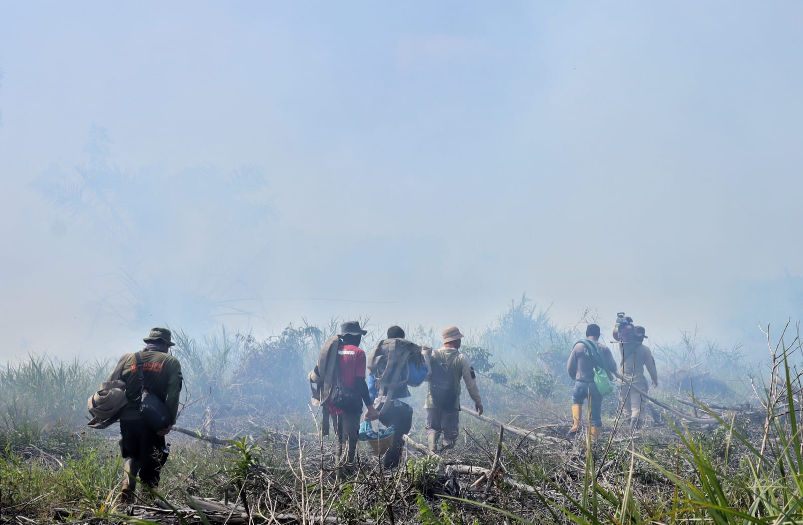 Hutan Giam Siak Kecil Terbakar, 10 Hektare Diduga Dijadikan Kebun Sawit