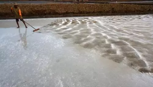 Rekomendasi Impor Garam Industri Tak Lagi Libatkan Menteri Susi