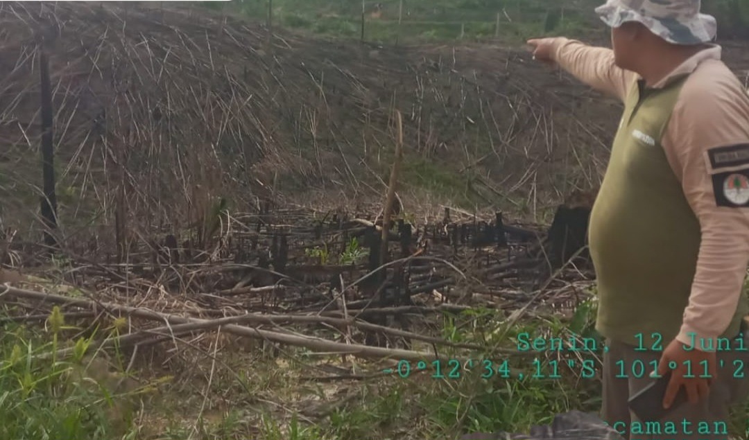 KSDA Riau Temukan 1 Hektare Lahan Terbakar di SM Rimbang Baling