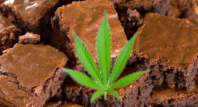 Sebut Ganja Sebagai Tanaman Obat, Mentan SYL Akhirnya Cabut Kepmentan