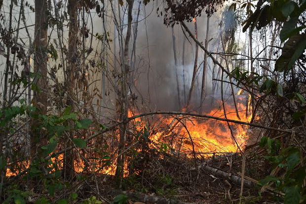 Riau Butuh 3 Helikopter untuk Tangani Kebakaran Hutan
