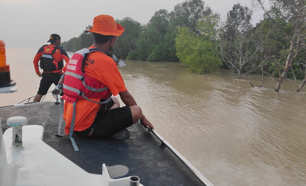 Pria di Rohil Diduga Diterkam Buaya Saat Tangkap Udang di Sungai Rokan