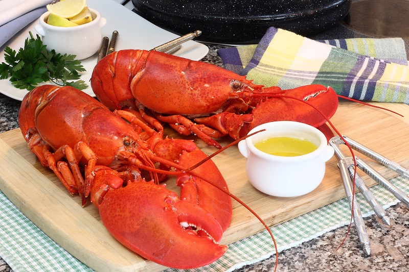 Nekat! Chef Ini Curi 25 Ekor Lobster Senilai Rp25 Juta Rupiah!