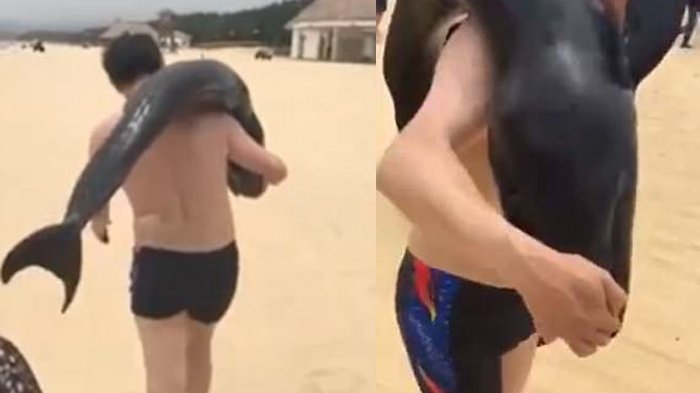 Viral Video Pengunjung Pantai Bopong Lumba-lumba Mati, Tampak Biasa tapi Beri Dampak Memilukan!