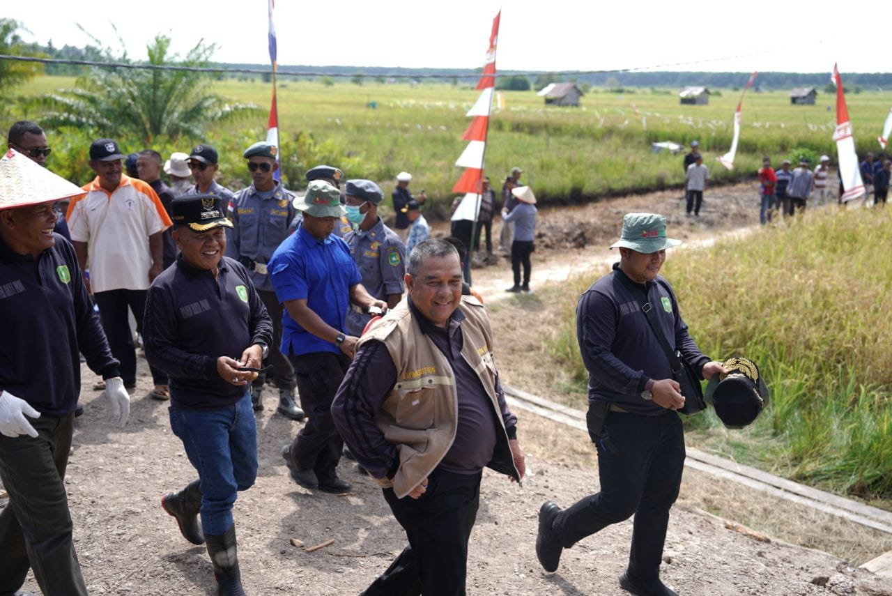 Gubri Panen Raya Padi di Desa Topang