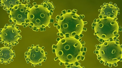 Tips Mencegah Virus Penyakit Menurut Islam