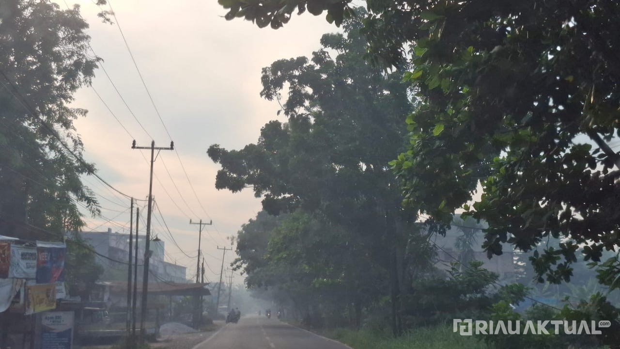 Sudah Dua Hari, Kabut Asap Beraroma Menyengat Selimuti Pekanbaru