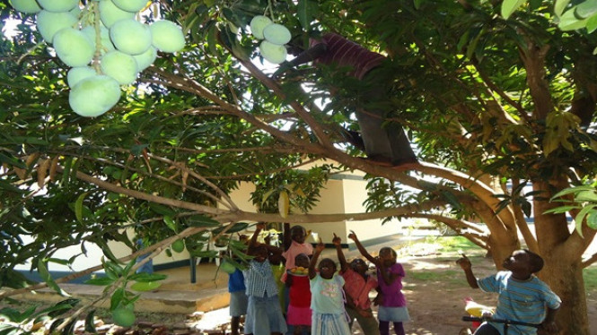 4 Hal Berbahaya Ini Sering Kita Lakukan Sewaktu Kecil