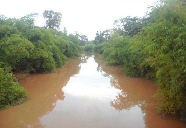 Terlalu Rimbun, Tanaman Bambu Sungai Sail Resahkan Warga