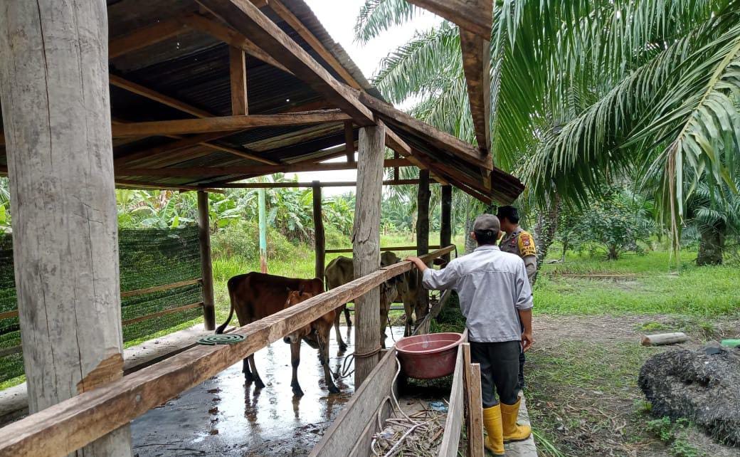 Bhabinkamtibmas dan Kelompok Tani Sei Manasib Dukung Ketahanan Pangan Nasional