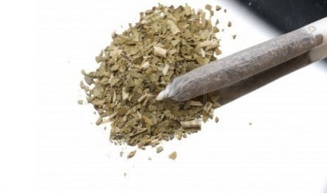 15 Tahun Bisnis Ganja, Dua Pengedar Ini Ditangkap Polisi