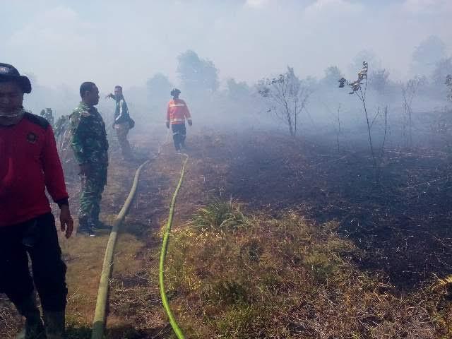 4 Hektare Lahan Warga Terbakar di Bengkalis