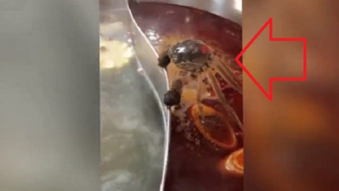 Tidak Ingin Direbus, Kepiting Pegang Erat Pinggir Panci