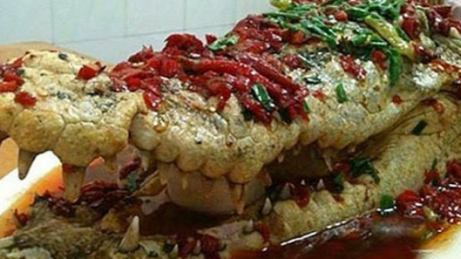 Katering Paling Ekstrem di Pernikahan, Tumis Kepala Buaya