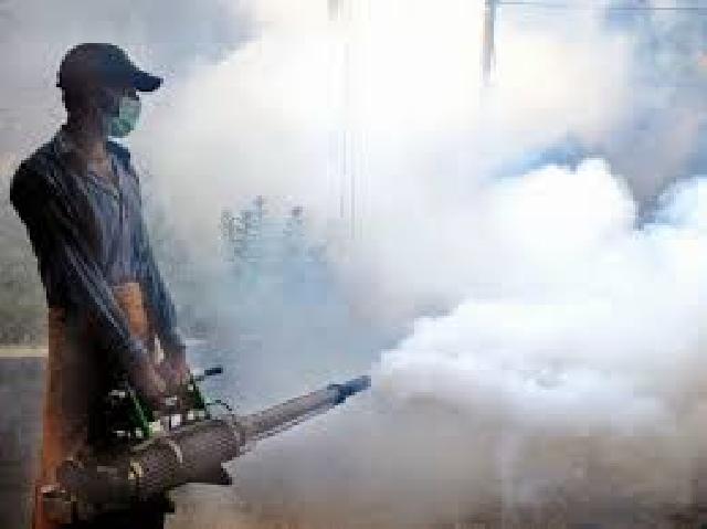 Diskes akan Lakukan Fogging
